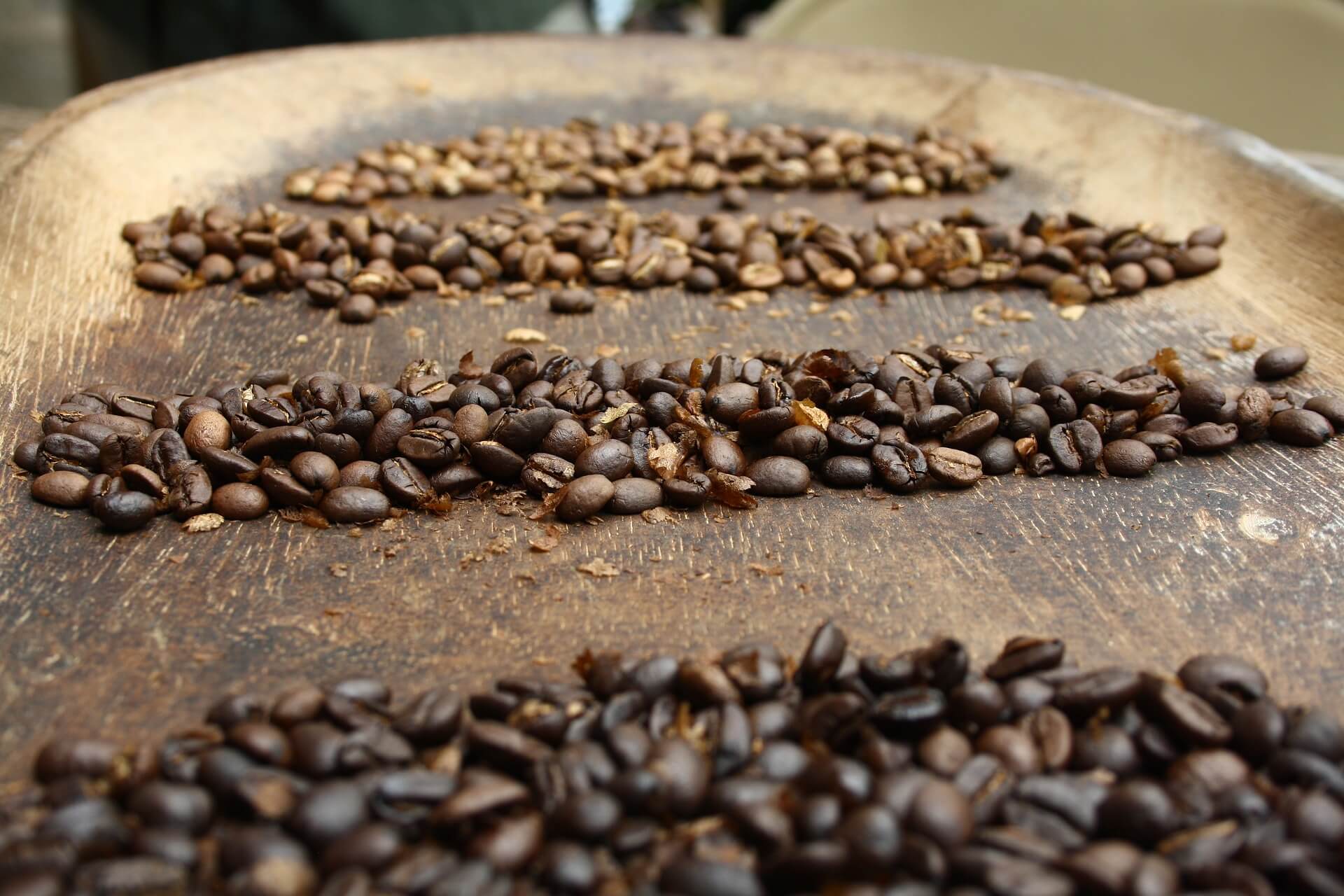 kaffee fermentation header