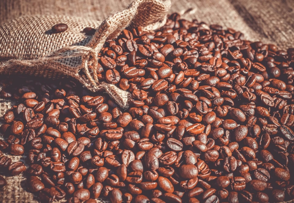 kaffee nicaragua bio-zertifiziert